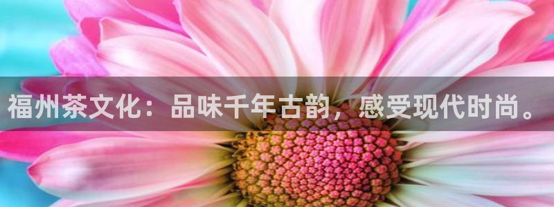 鸿运资本平台被骗