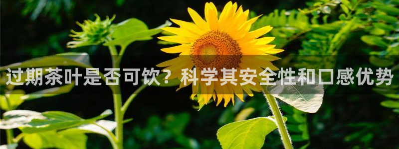 鸿运平台进入官网