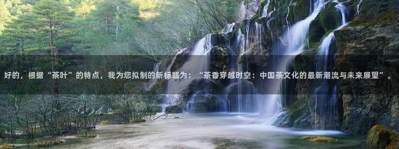 鸿运服务平台是什么