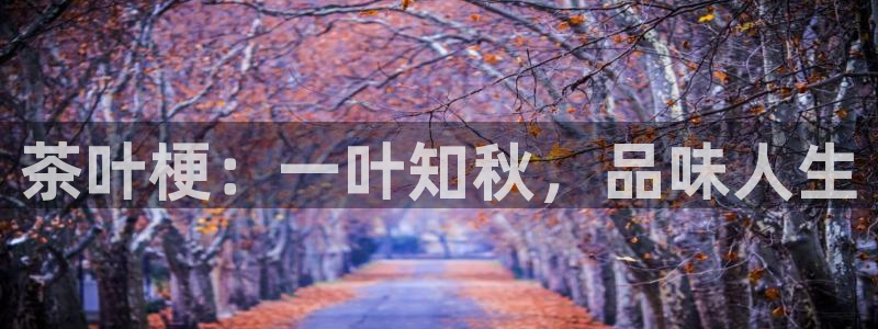 鸿运牛牛投注平台开户