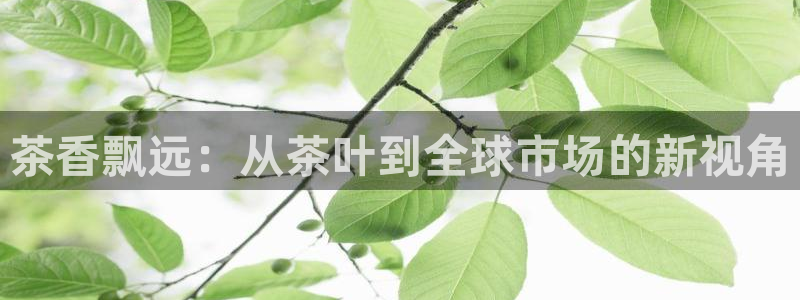 鸿运茶叶平台被骗