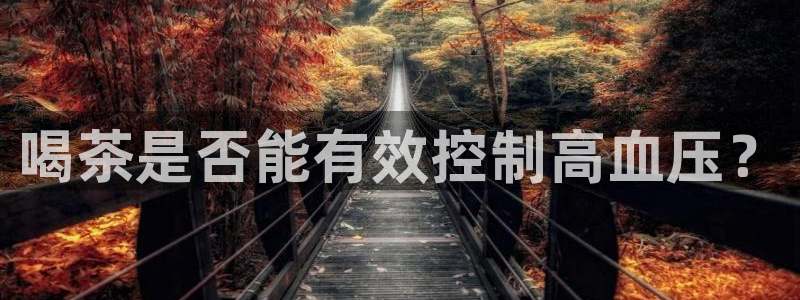 鸿运国际平台登录