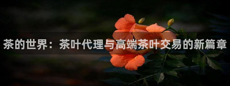 快手平台鸿运当头