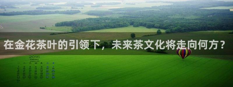 彩票鸿运网登录平台