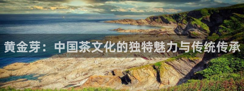 鸿运宝投资理财平台