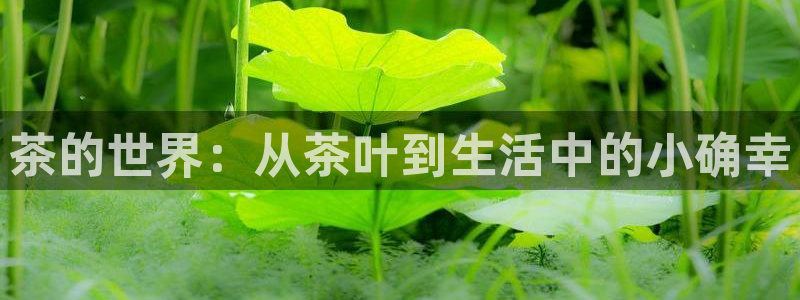 鸿运国际平台平台介绍