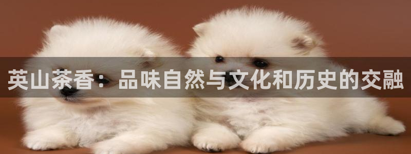 鸿运游戏平台投注