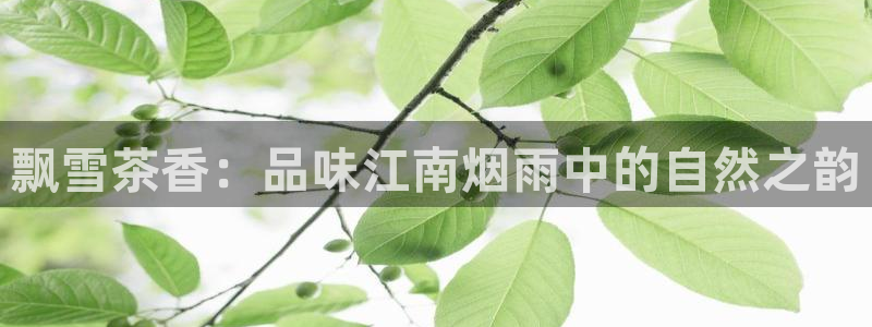 鸿运是什么平台