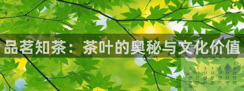 鸿运国际赌场平台