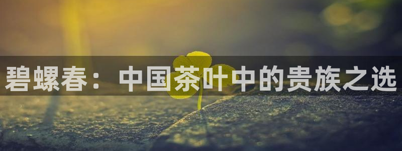 鸿运物流信息平台