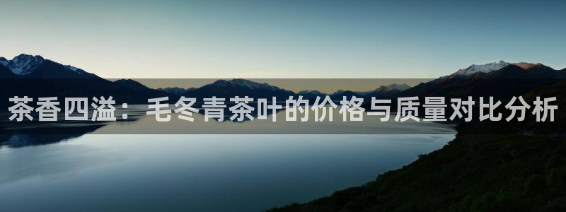 鸿运来投资平台