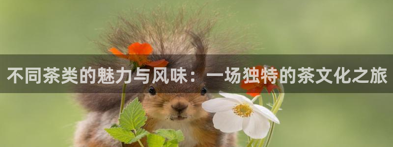 鸿运平台有哪些