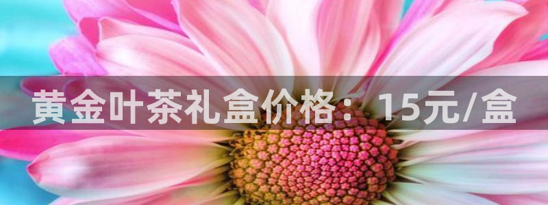 鸿运时时彩平台