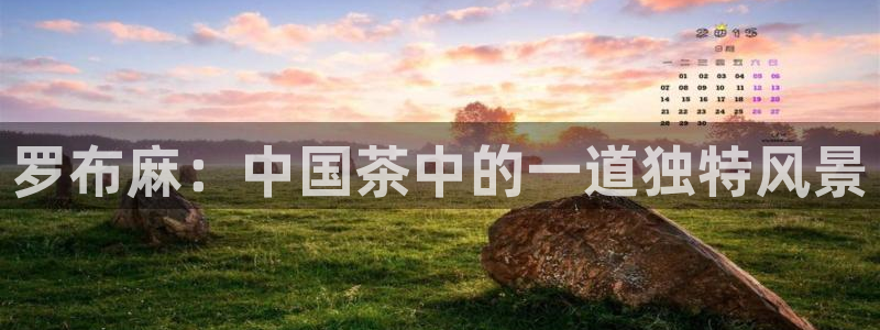 鸿运国际平台台