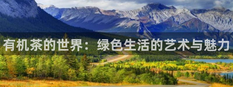 鸿运平台骗局曝光案例