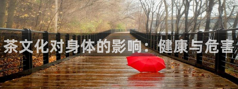 鸿运平台投资诈骗事件