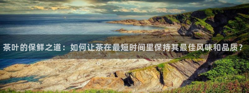 鸿运策略股票平台