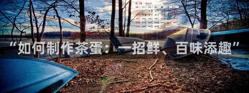 鸿运商会直播平台