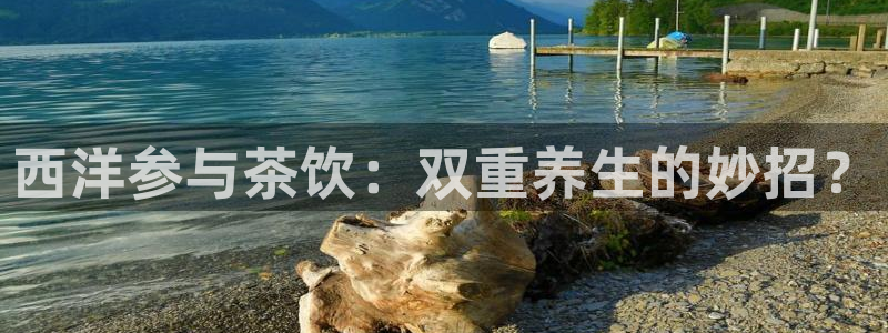 鸿运网络麻将平台