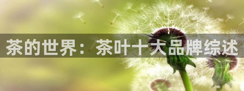 鸿运平台诈骗电话