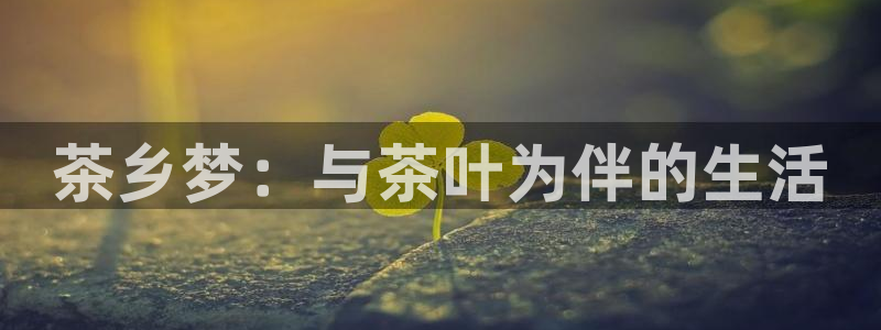 鸿运投资平台是什么