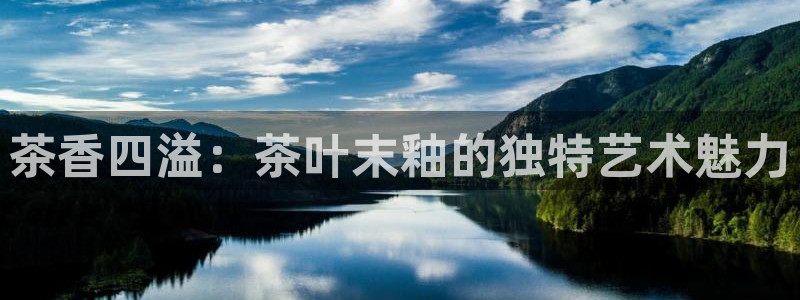 鸿运茶叶平台被骗