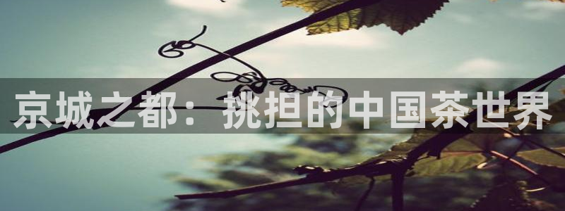 鸿运食品团购平台