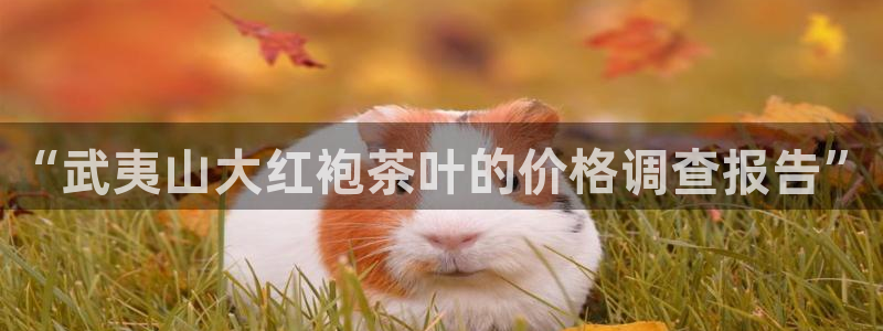 鸿运娱乐平台