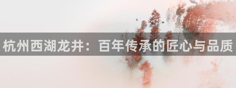 鸿运平台是大平台吗