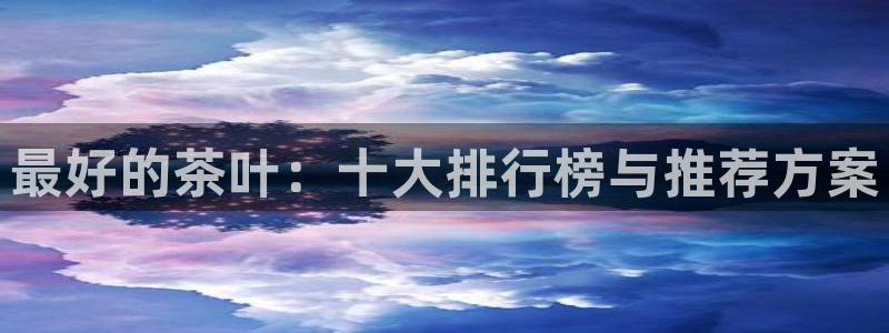 铜陵鸿运拍卖平台