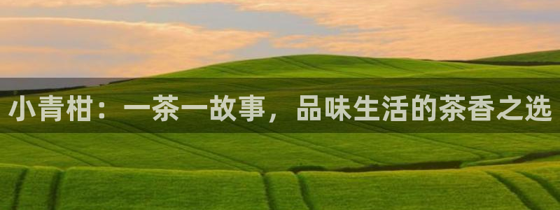 鸿运下注平台