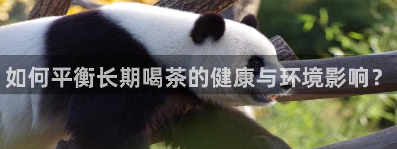 鸿运链锁管理平台