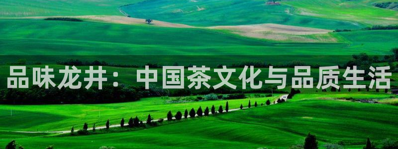 鸿运平台试玩