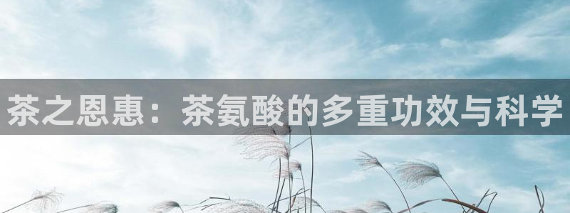鸿运官方平台