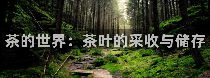 鸿运平台骗局曝光