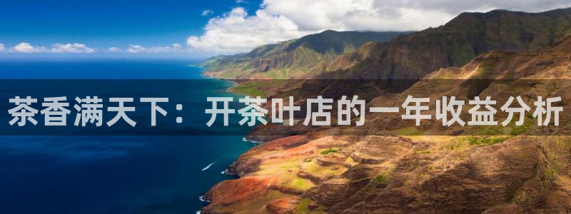 鸿运锦囊是什么平台