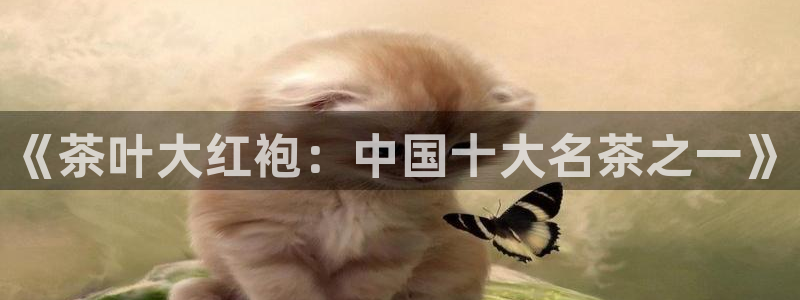 鸿运平台主管