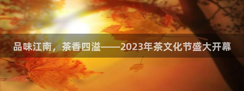 鸿运国际平台代理