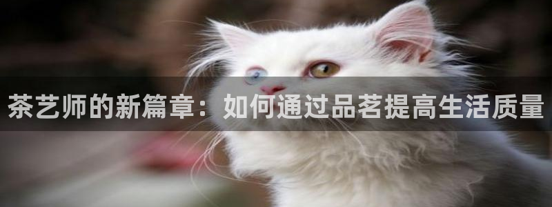 鸿运福星缴费平台