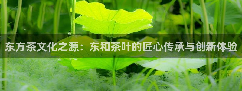鸿运卡盟登录平台