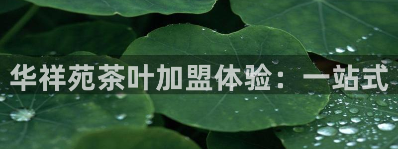 鸿运茶叶平台被骗