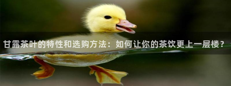 鸿运彩票是正规平台