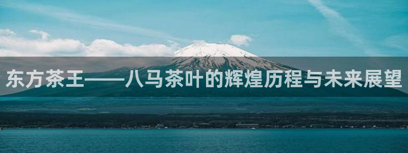 鸿运当头购物平台