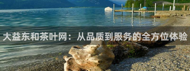 鸿运汽车团购平台