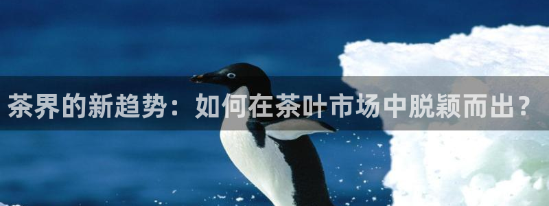 鸿运平台正规吗