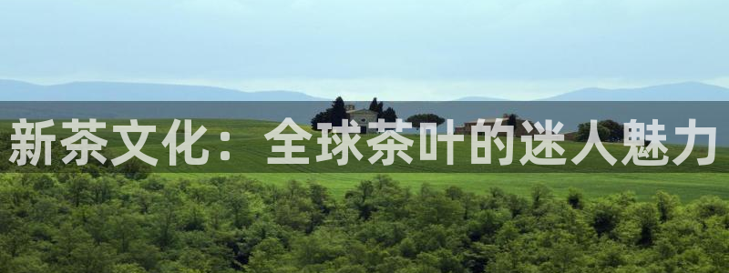鸿运直播平台下载