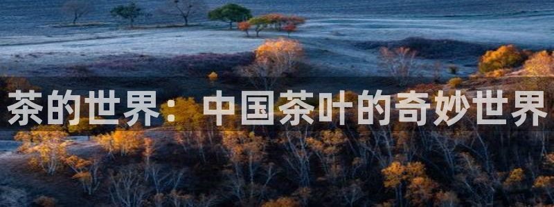 鸿运国际平台
