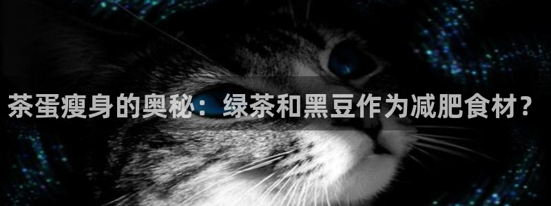鸿运北斗监控平台