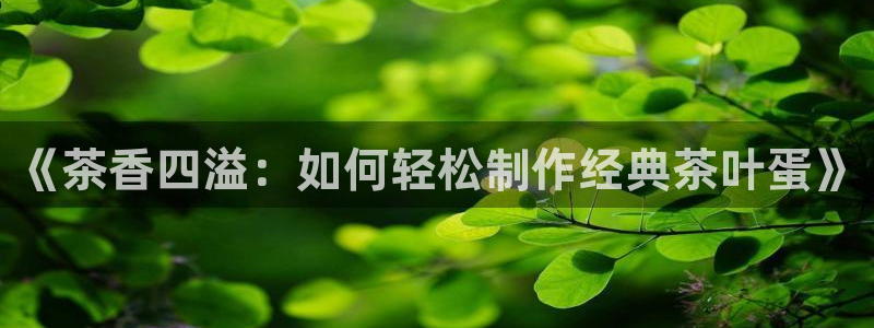 鸿运做单平台