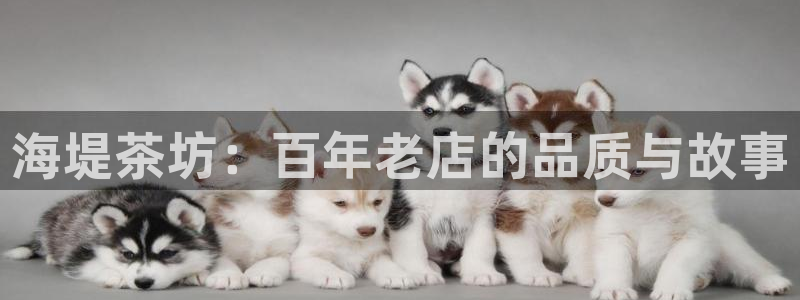 鸿运国际体育平台